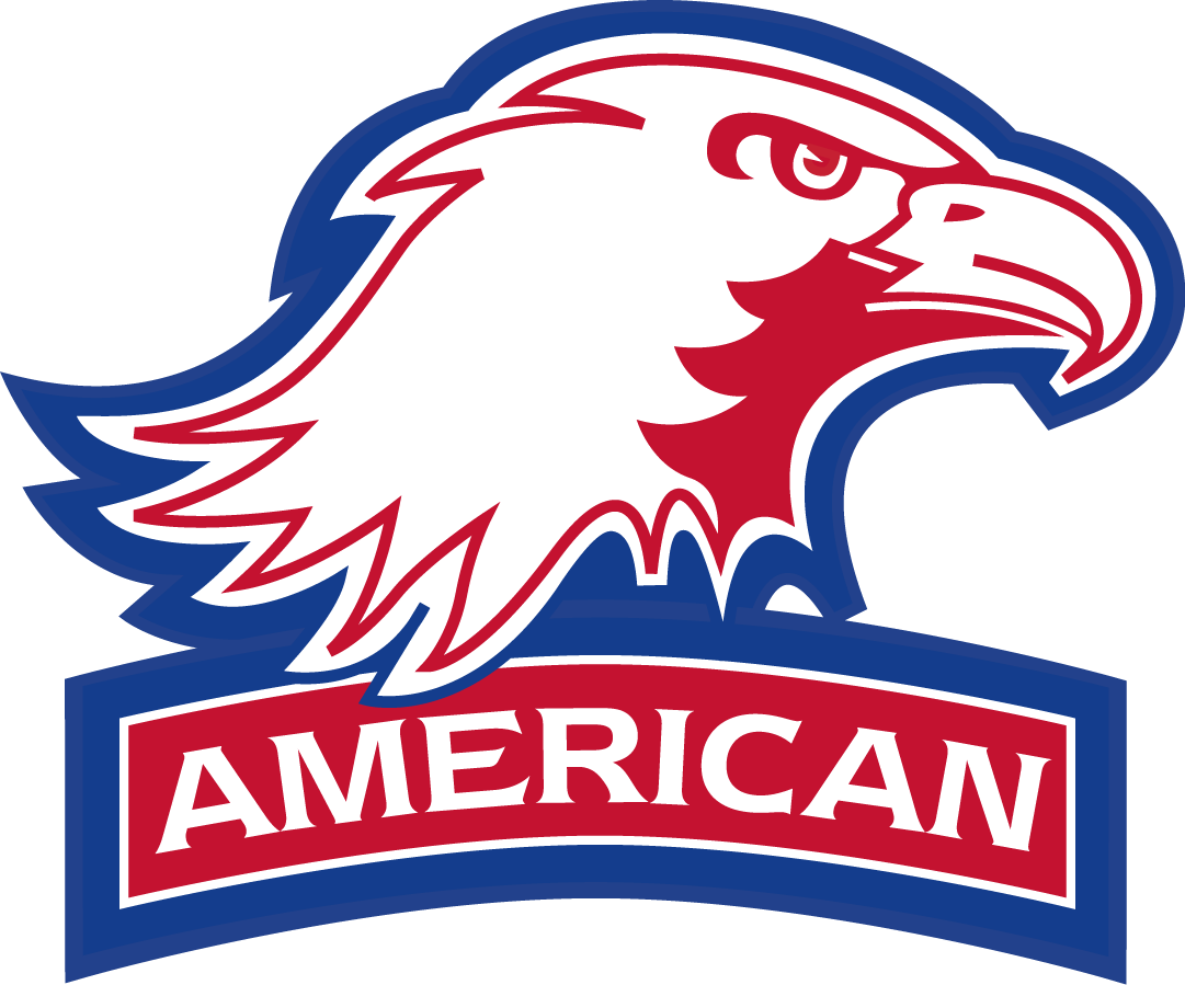 American Eagles 2010-Pres Secondary Logo v2 diy fabric transfer